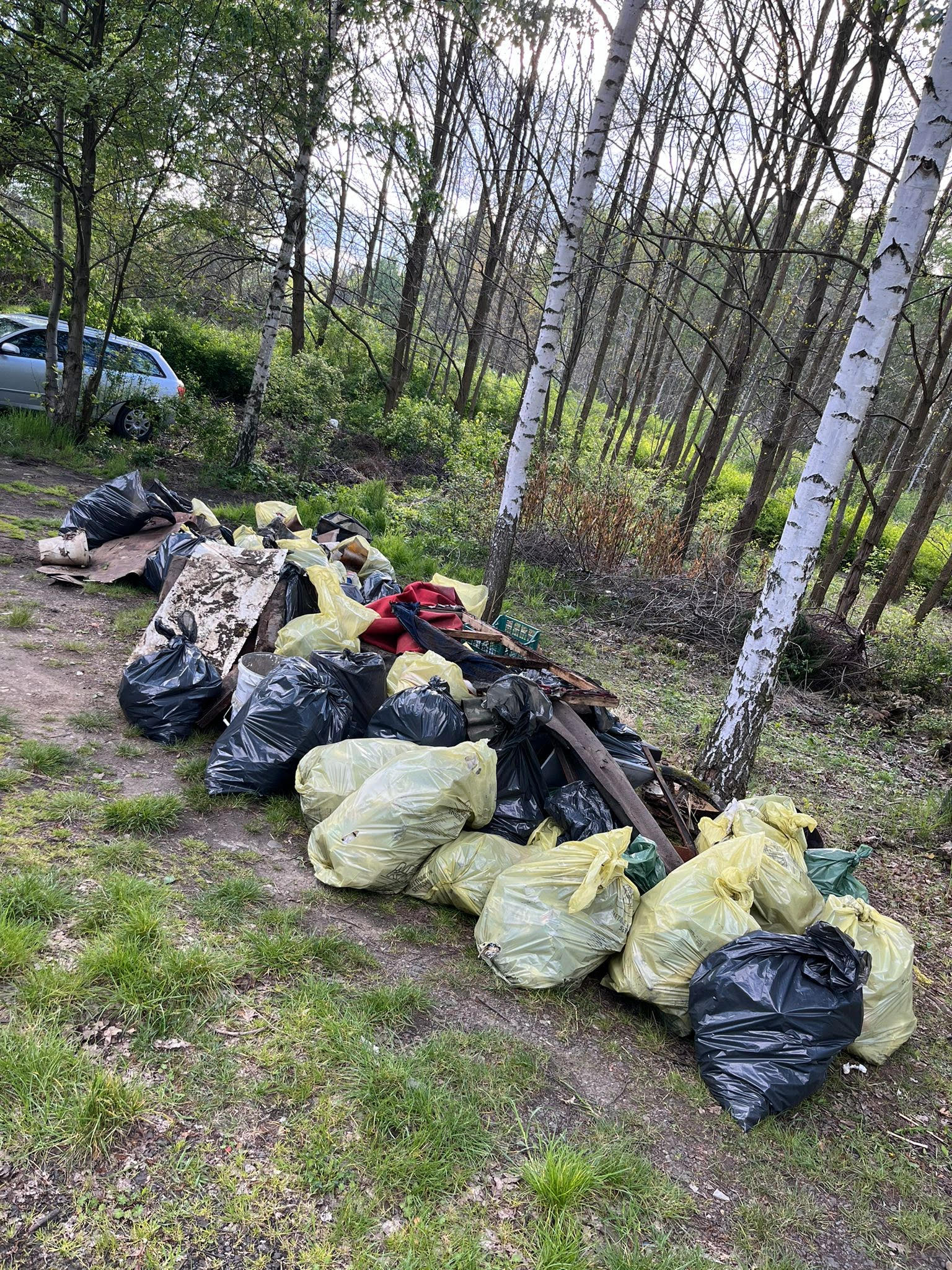 Zdjęcie odpady zebrane z terenu Parku Ludowego i okolic w dniu 26.04.2024r..jpg